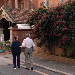 欧美女人与马性交
