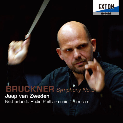 欧美女人与马性交
